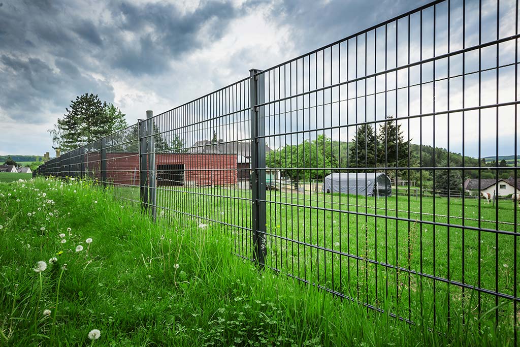 Zaun für die Landwirtschaft